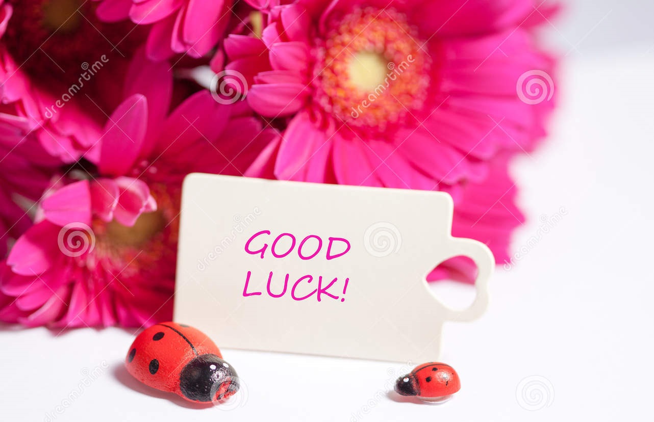 good-luck-pink-flowers
