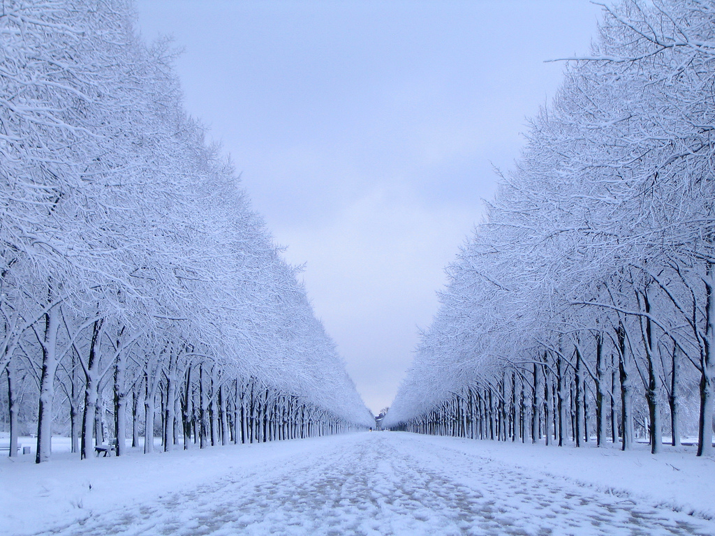 winter