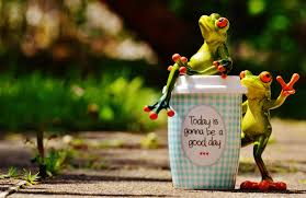 monday